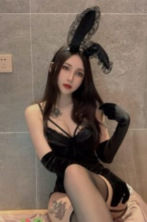 熊出没之环球大冒险免费版全集_蓝光手机免费观看完整